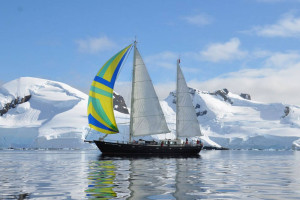 Anne-Margaretha in der Antarktis