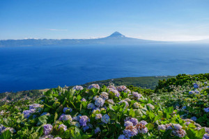 Azoren - Fernsicht auf Pico
