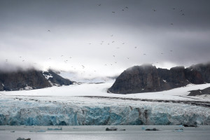 Pictures taken on the 'Around Spitsbergen' cruise by Oceanwide Expeditions.